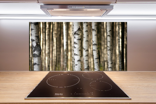 Cooker splashback Birch