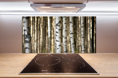 Cooker splashback Birch