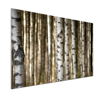 Cooker splashback Birch