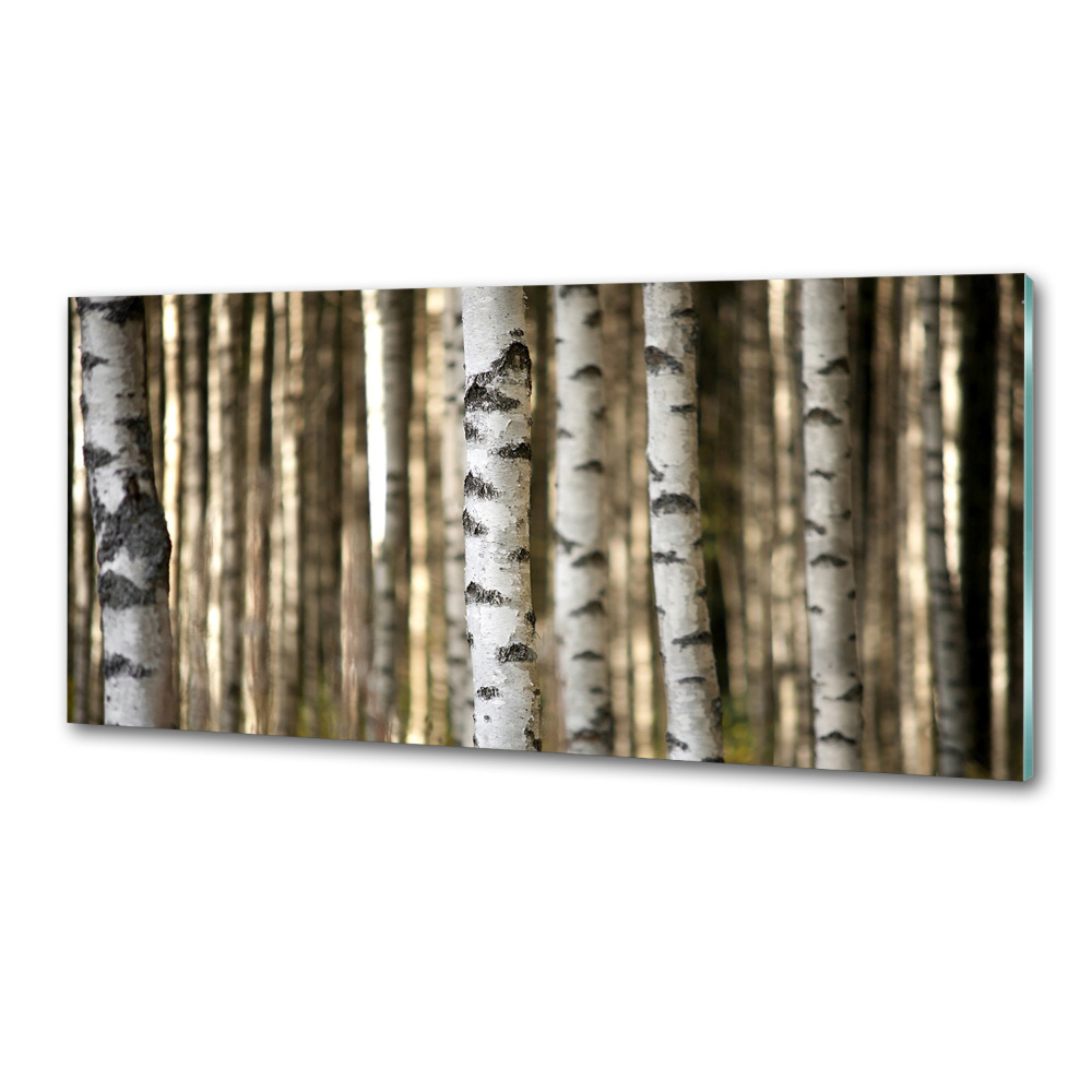 Cooker splashback Birch