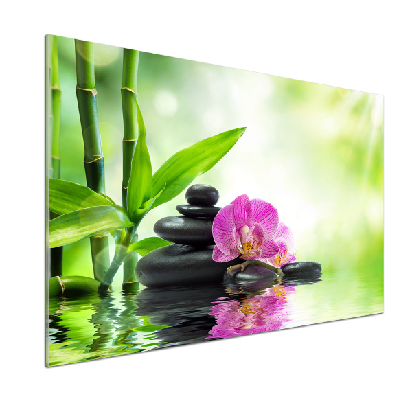 Kitchen splashback Orchid