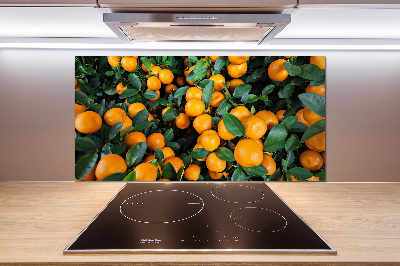 Cooker splashback Tangerines