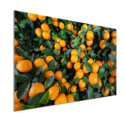 Cooker splashback Tangerines