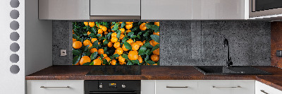 Cooker splashback Tangerines