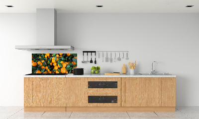 Cooker splashback Tangerines