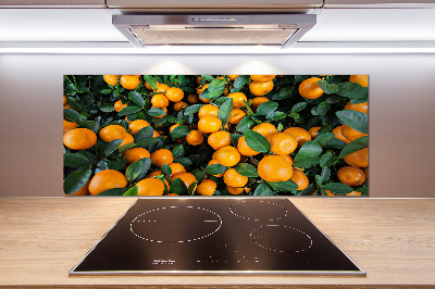 Cooker splashback Tangerines