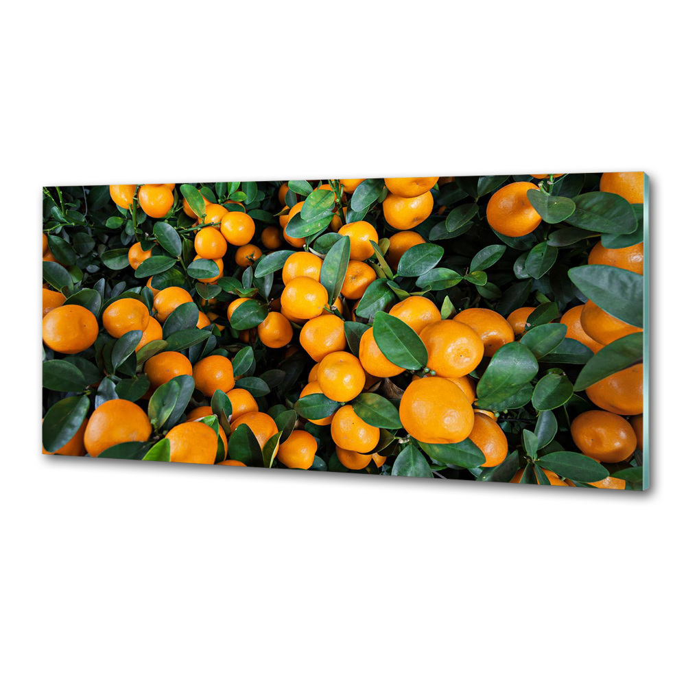 Cooker splashback Tangerines