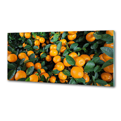 Cooker splashback Tangerines