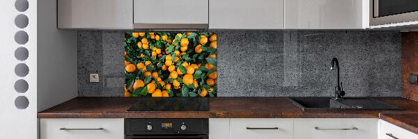 Cooker splashback Tangerines