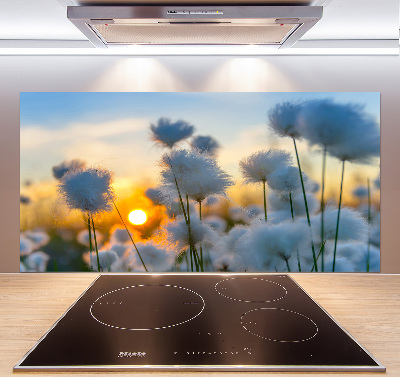 Kitchen splashback Woolly