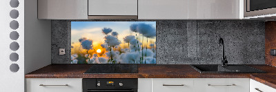 Kitchen splashback Woolly