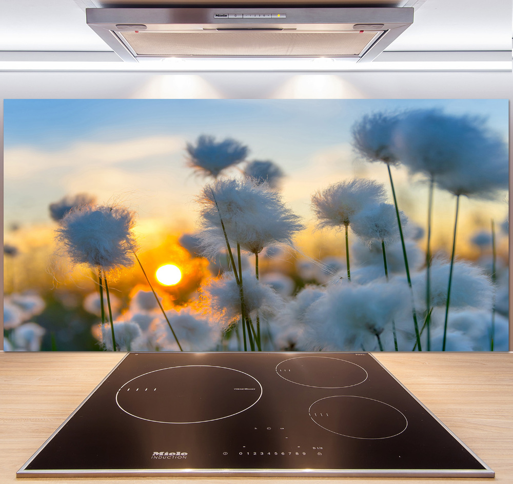 Kitchen splashback Woolly