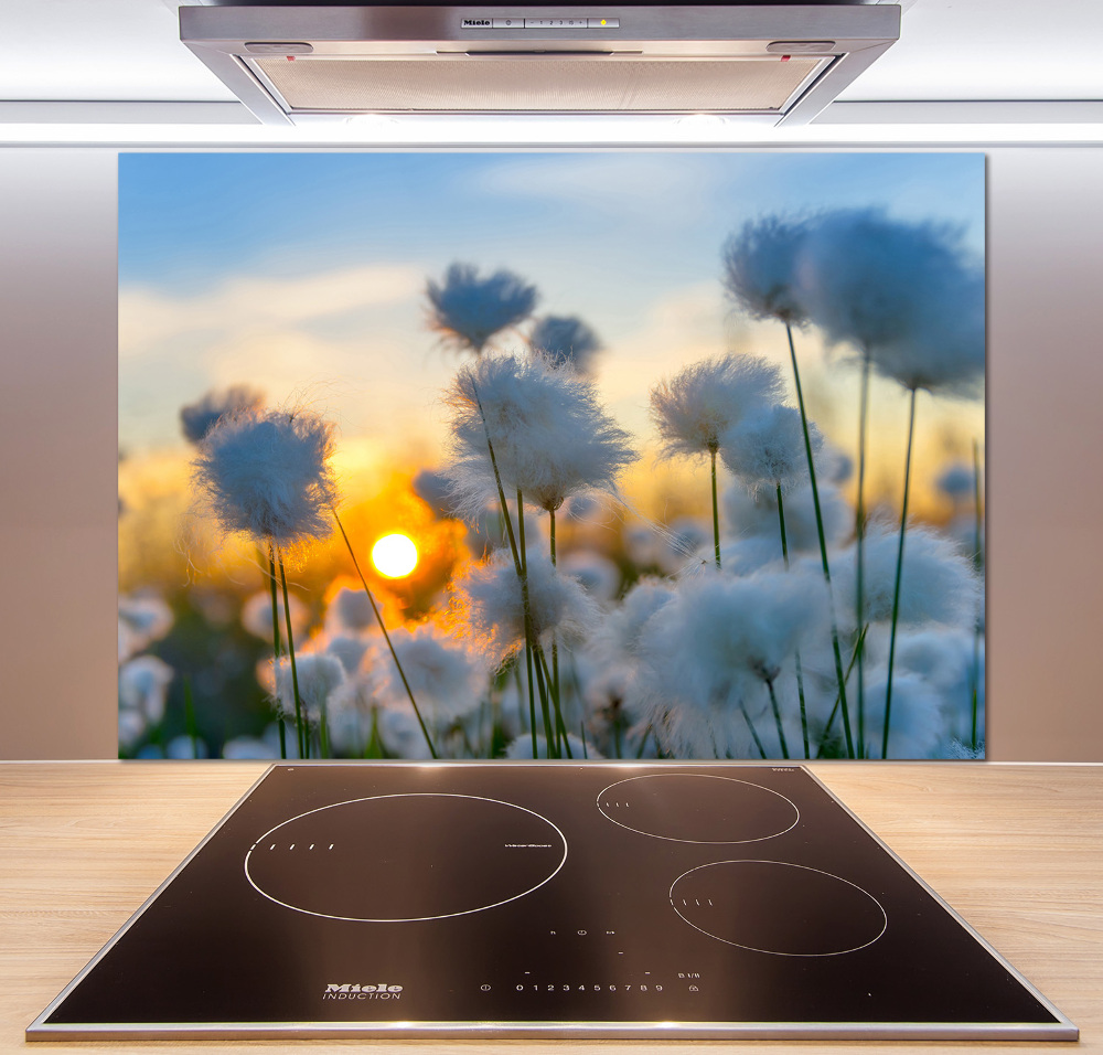 Kitchen splashback Woolly