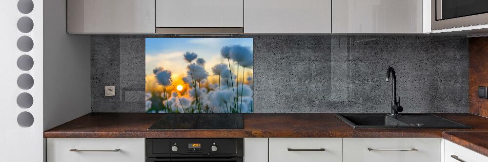 Kitchen splashback Woolly