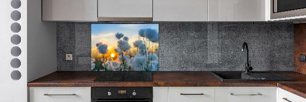 Kitchen splashback Woolly