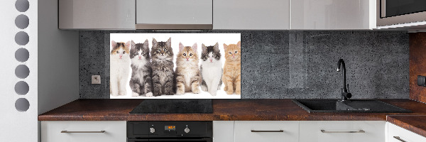 Cooker splashback Six cats