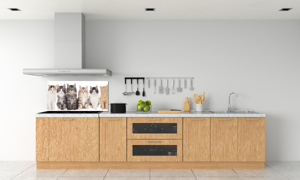 Cooker splashback Six cats