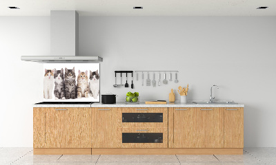 Cooker splashback Six cats