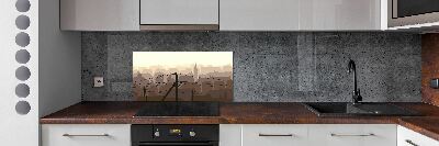 Cooker splashback City