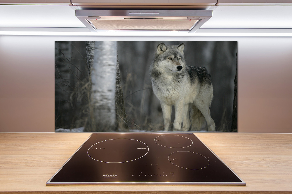 Cooker splashback Gray wolf