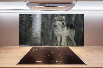 Cooker splashback Gray wolf