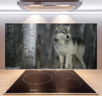 Cooker splashback Gray wolf