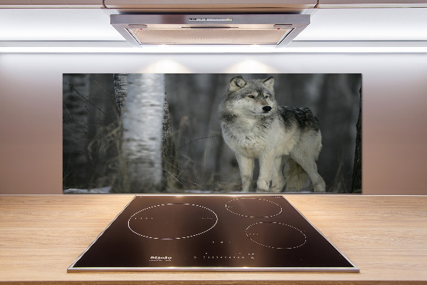 Cooker splashback Gray wolf