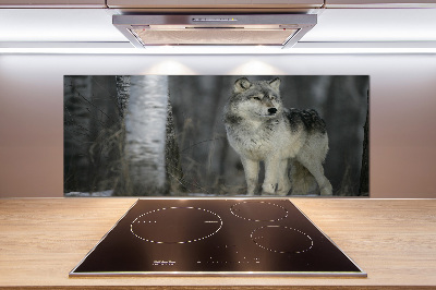 Cooker splashback Gray wolf