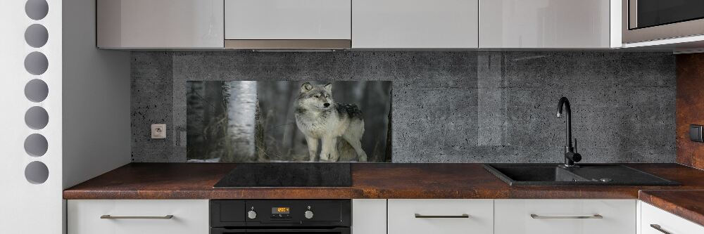 Cooker splashback Gray wolf