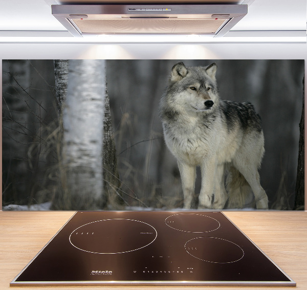 Cooker splashback Gray wolf