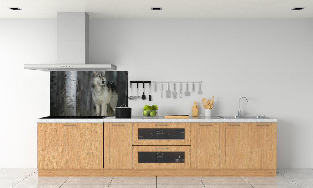 Cooker splashback Gray wolf