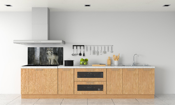 Cooker splashback Gray wolf