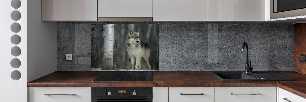 Cooker splashback Gray wolf