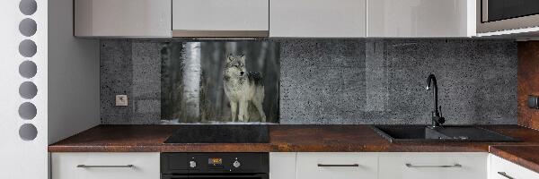 Cooker splashback Gray wolf