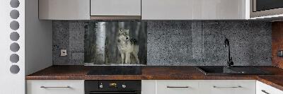 Cooker splashback Gray wolf