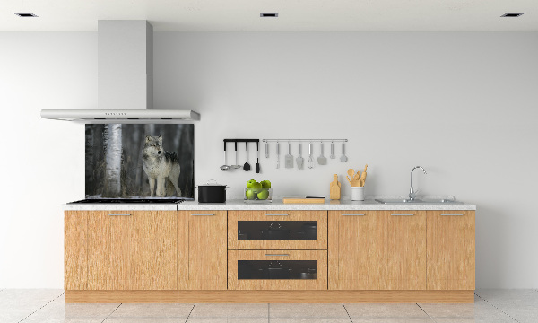 Cooker splashback Gray wolf