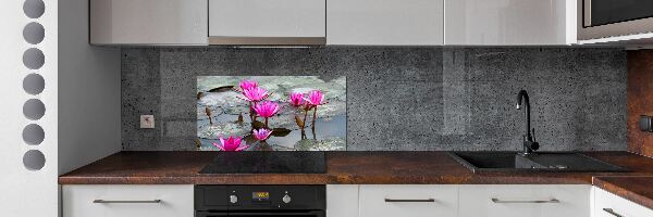 Kitchen splashback Flight