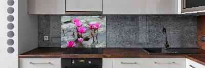 Kitchen splashback Flight