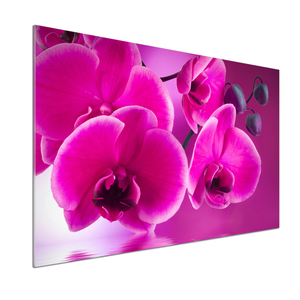 Kitchen splashback Orchid