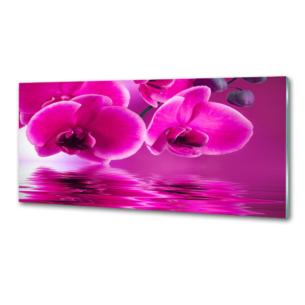 Kitchen splashback Orchid