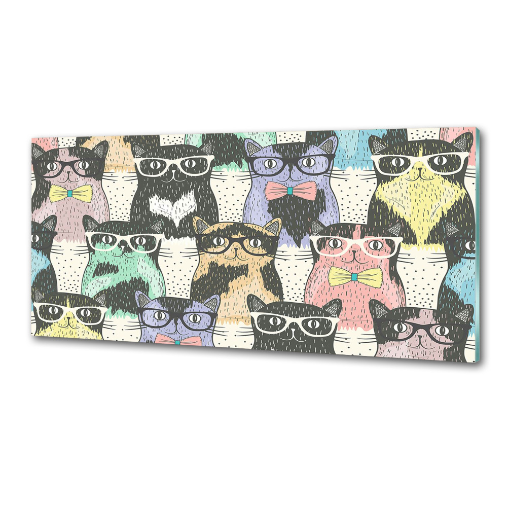 Cooker splashback Cats with glasses