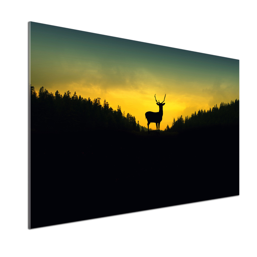 Cooker splashback Deer