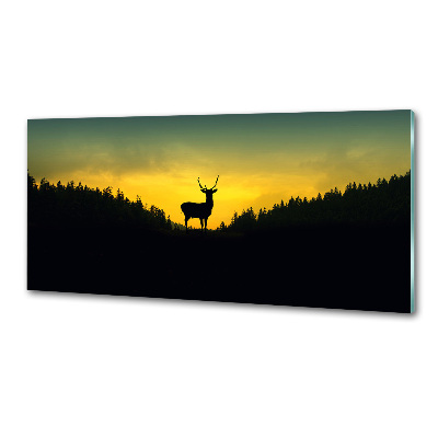 Cooker splashback Deer