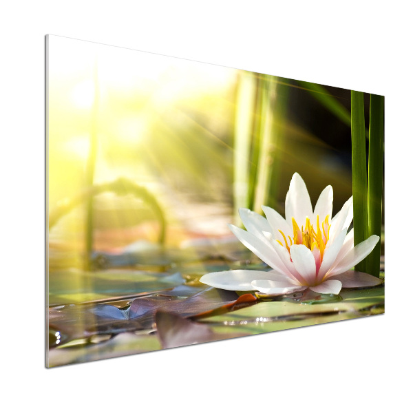 Kitchen wall panels water lily