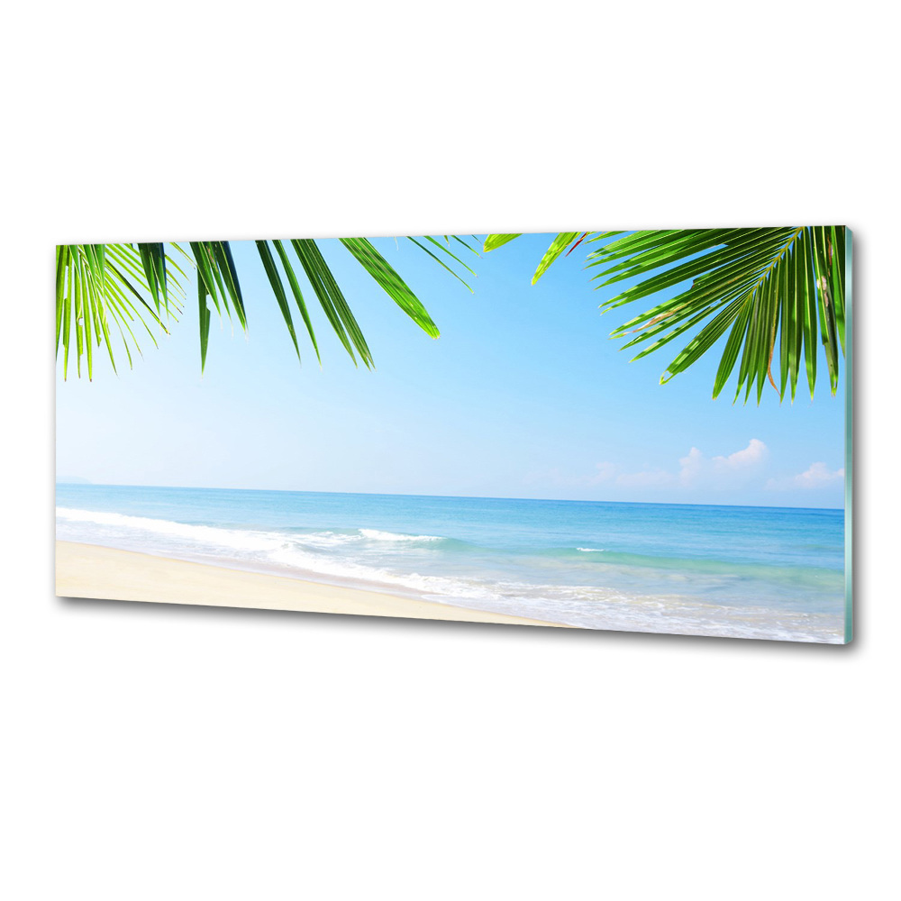 Kitchen splashback Tropical beach