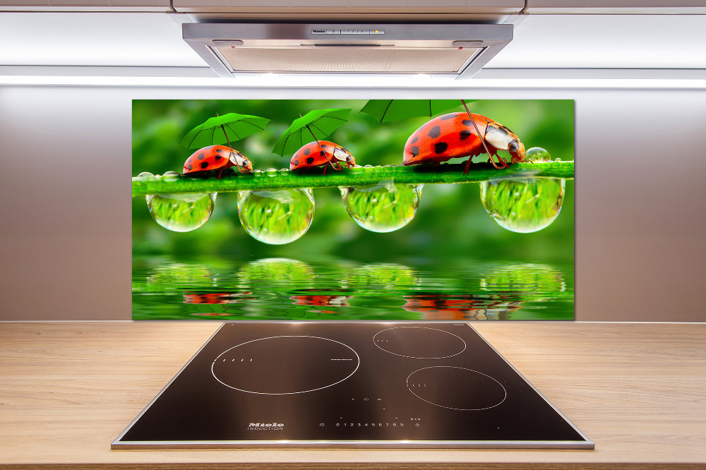 Cooker splashback Ladybugs