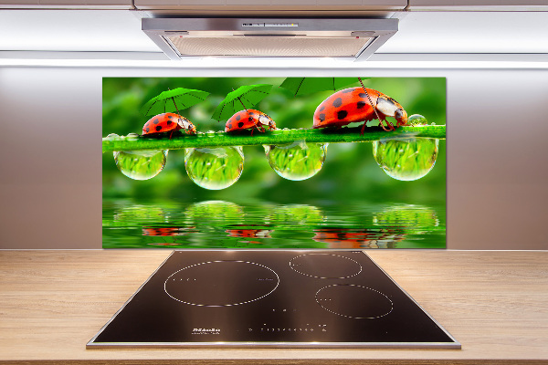 Cooker splashback Ladybugs