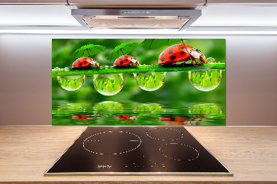 Cooker splashback Ladybugs