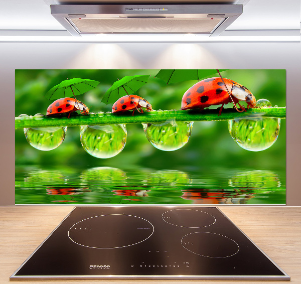 Cooker splashback Ladybugs