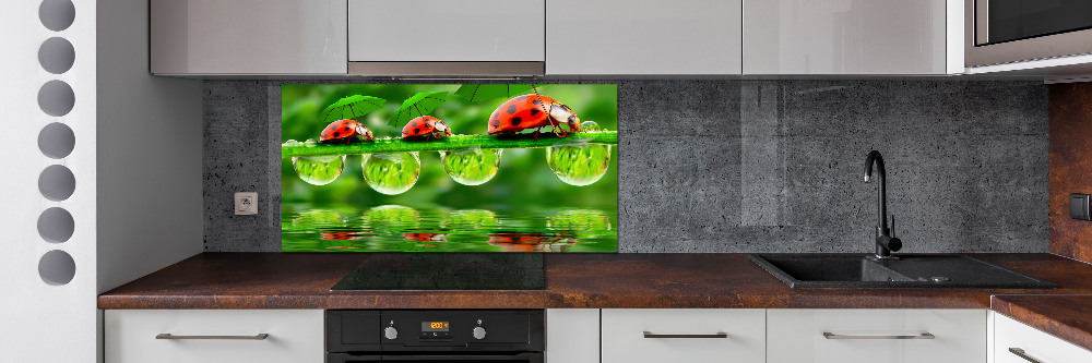 Cooker splashback Ladybugs